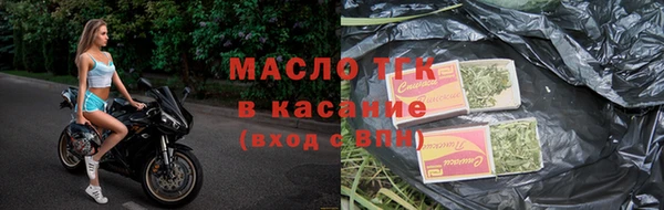 ешки Горняк
