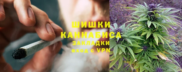 альфа пвп Богородицк