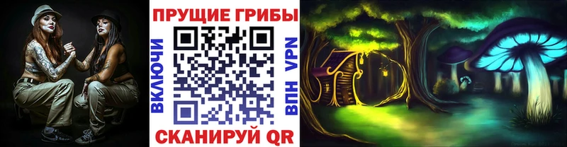 Галлюциногенные грибы прущие грибы darknet Telegram Михайлов